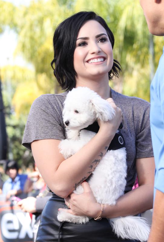 Demi Loato  a Budy