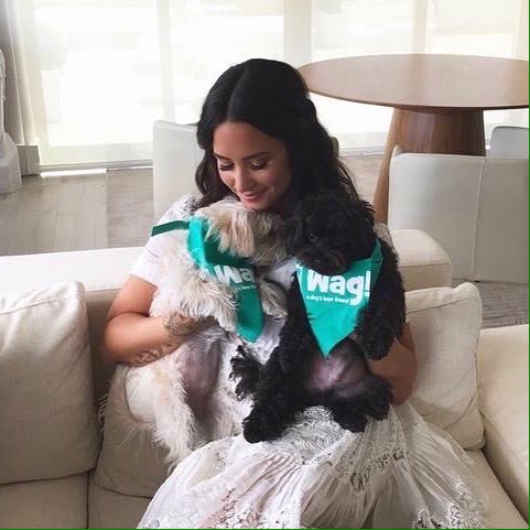 Chindrella a Demi a Batman